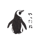 愛らしく真面目なペンギンさん 関西弁（個別スタンプ：29）
