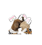 ベイリーwithフレンズ。（個別スタンプ：11）