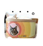 我が家にはねこがいる（個別スタンプ：7）