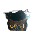 我が家にはねこがいる（個別スタンプ：9）