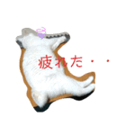 我が家にはねこがいる（個別スタンプ：11）