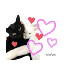 我が家にはねこがいる（個別スタンプ：13）