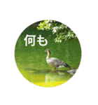日本語を使って挨拶する（個別スタンプ：6）