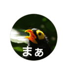 日本語を使って挨拶する（個別スタンプ：18）