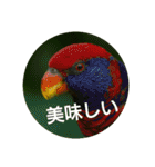 日本語を使って挨拶する（個別スタンプ：19）