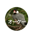 日本語を使って挨拶する（個別スタンプ：24）