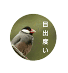 日本語を使って挨拶する（個別スタンプ：26）