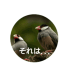 日本語を使って挨拶する（個別スタンプ：32）