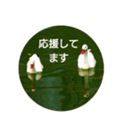 日本語を使って挨拶する（個別スタンプ：37）