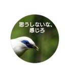 日本語を使って挨拶する（個別スタンプ：38）