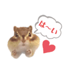 むぎぐらし いろいろむぎ（個別スタンプ：1）