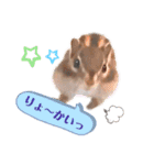 むぎぐらし いろいろむぎ（個別スタンプ：2）