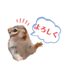 むぎぐらし いろいろむぎ（個別スタンプ：3）