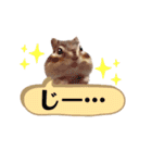 むぎぐらし いろいろむぎ（個別スタンプ：4）