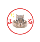 むぎぐらし いろいろむぎ（個別スタンプ：9）