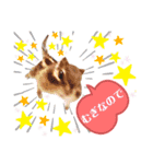むぎぐらし いろいろむぎ（個別スタンプ：15）