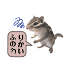むぎぐらし いろいろむぎ（個別スタンプ：16）