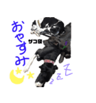 Great Dane sticker！2（個別スタンプ：6）
