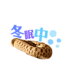 シンバの愉快な家族‼️ ②（個別スタンプ：11）
