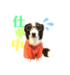 シンバの愉快な家族‼️ ②（個別スタンプ：15）