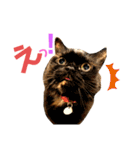 シンバの愉快な家族‼️ ②（個別スタンプ：23）