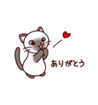 猫たちの毎日（個別スタンプ：1）