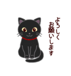 猫たちの毎日（個別スタンプ：5）