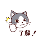猫たちの毎日（個別スタンプ：6）