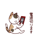 猫たちの毎日（個別スタンプ：7）