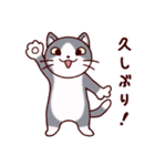 猫たちの毎日（個別スタンプ：9）