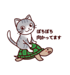 猫たちの毎日（個別スタンプ：13）