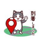 猫たちの毎日（個別スタンプ：15）