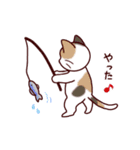 猫たちの毎日（個別スタンプ：20）