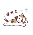 猫たちの毎日（個別スタンプ：21）