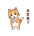 猫たちの毎日（個別スタンプ：23）