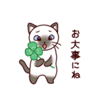 猫たちの毎日（個別スタンプ：24）