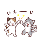 猫たちの毎日（個別スタンプ：26）