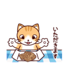 猫たちの毎日（個別スタンプ：27）