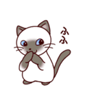 猫たちの毎日（個別スタンプ：35）