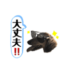 メイくん by晩ママ（個別スタンプ：11）