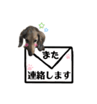 メイくん by晩ママ（個別スタンプ：12）