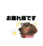 メイくん by晩ママ（個別スタンプ：13）
