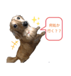 ツナ＆ぴよ（個別スタンプ：6）