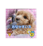 ❤︎୨୧色んなスタンプ୨୧❤︎（個別スタンプ：1）
