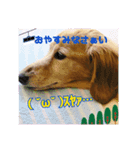 ❤︎୨୧色んなスタンプ୨୧❤︎（個別スタンプ：2）