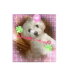 ❤︎୨୧色んなスタンプ୨୧❤︎（個別スタンプ：5）