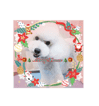 ❤︎୨୧MerryX'mas ୨୧❤︎スタンプ（個別スタンプ：2）