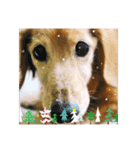 ❤︎୨୧MerryX'mas ୨୧❤︎スタンプ（個別スタンプ：3）