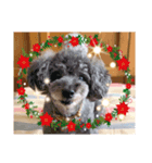 ❤︎୨୧MerryX'mas ୨୧❤︎スタンプ（個別スタンプ：4）