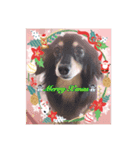 ❤︎୨୧MerryX'mas ୨୧❤︎スタンプ（個別スタンプ：5）